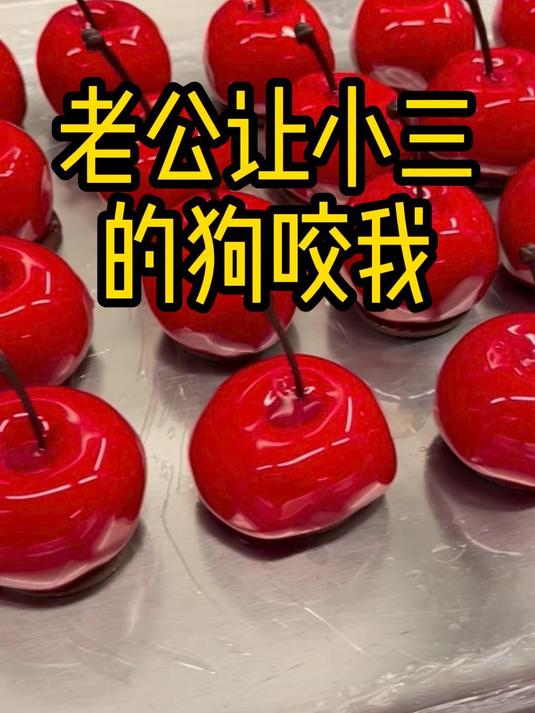 老公让小三的狗咬我