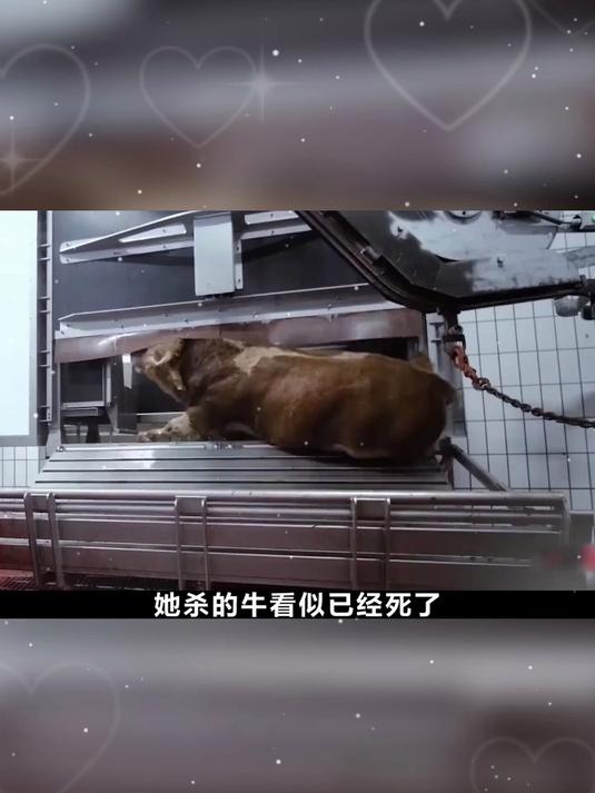 什么秘制配方,让襄阳牛肉面火了百年仍一票难求?