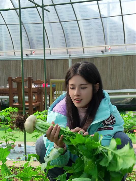 据说99%的人都没见过这些特菜,今天带大家见识下特菜