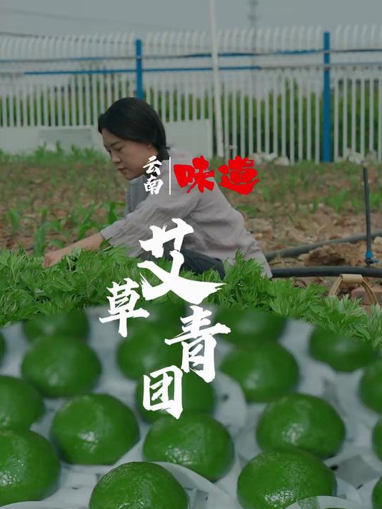 艾草青团 青团知春短，故染一身浓