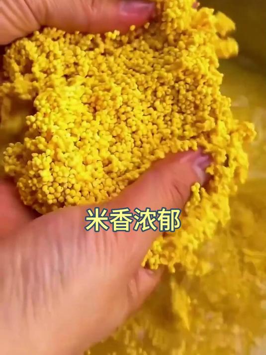 能熬出三层米油的黄小米#山药小米粥##黄小米#