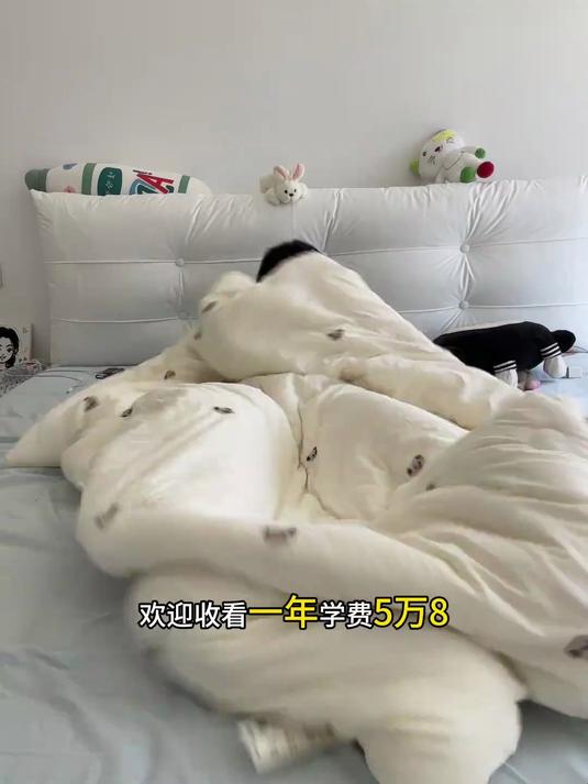 最近拍摄多 更新会努力的