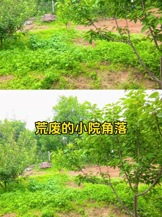 休闲区域｜装饰一下面包窑区域