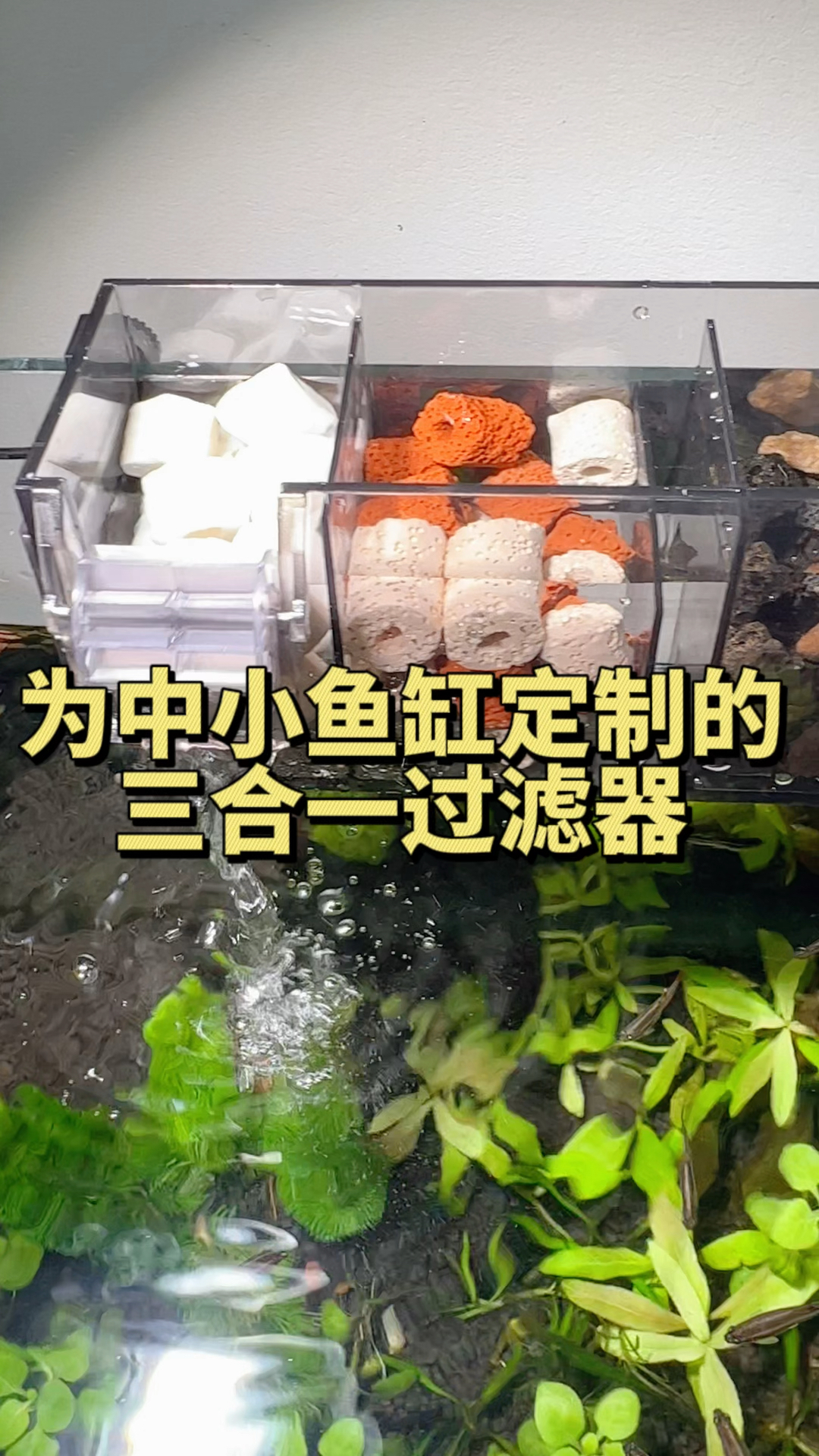 小鱼缸量身定制的过滤净水增氧三合一过滤器,配备抽水泵滤材一步到位。#水族#过滤器
