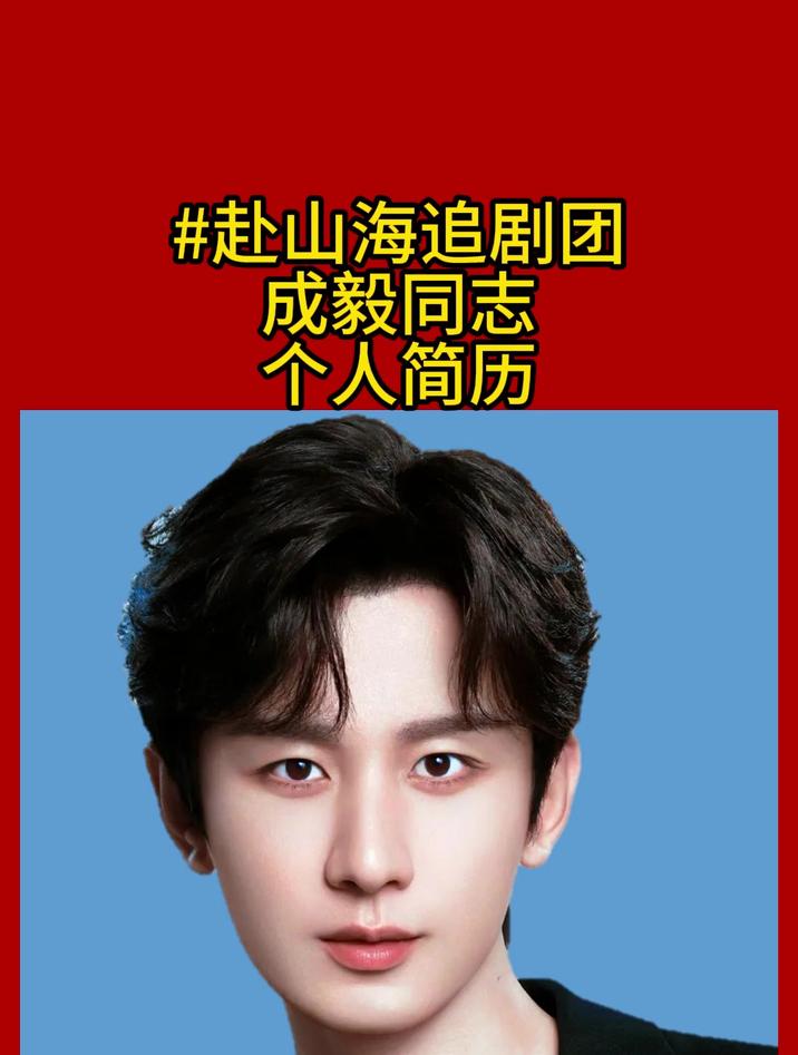 成毅同志个人简历