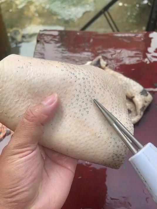 别再用手拔鸡鸭毛了，赶快用这款电动拔毛器，一键除毛，方便好用