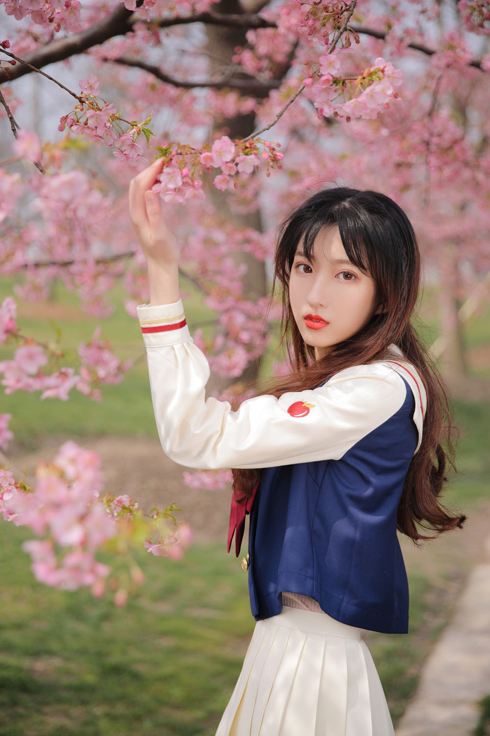 图片[30]-樱花-六色网