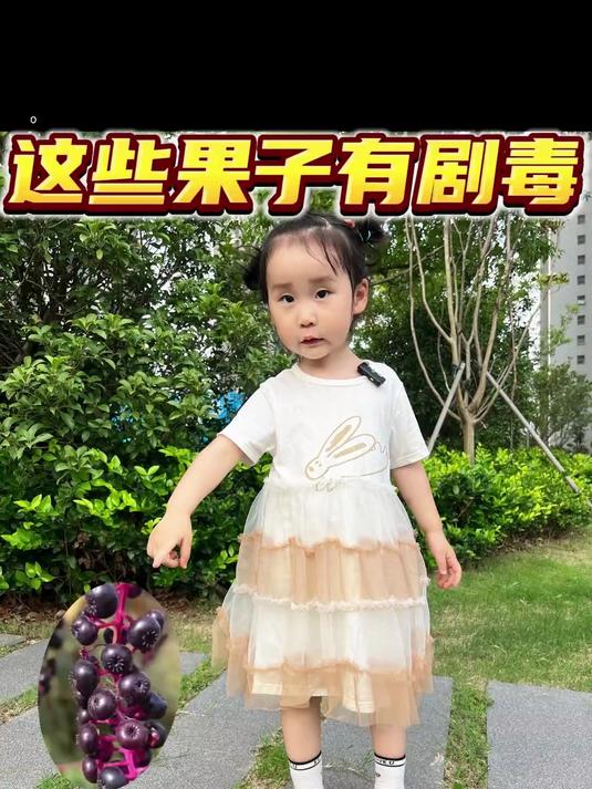 这些会伪装的有毒植物,孩子一定要认识!