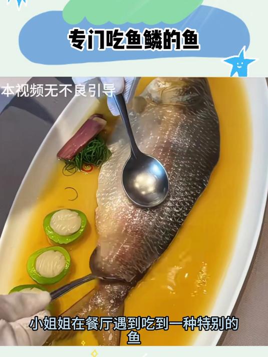 专门吃鱼鳞的鱼,你知道这是什么鱼吗?