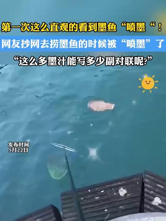 第一次这么直观的看到墨鱼“喷墨”!去捞墨鱼的时候被“喷墨”了