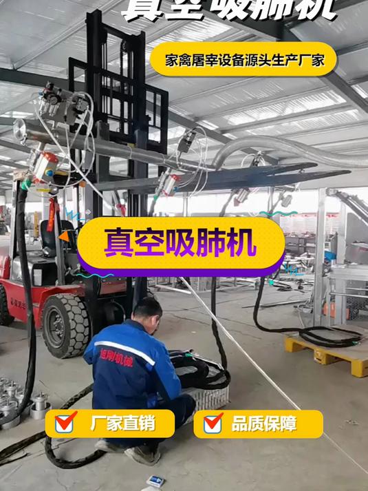 去内脏掏肺设备,去内脏掏肺设备哪家好,家禽内脏怎么快速去除