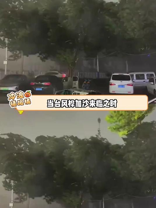 哈尔的移动鸡排堡