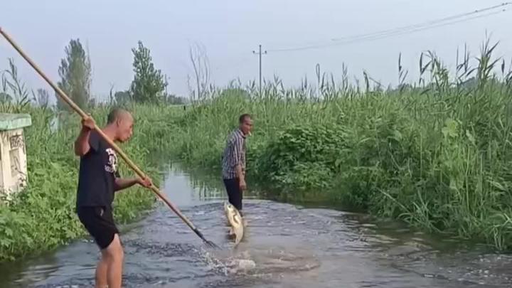 帅小伙水里叉鱼3日1
