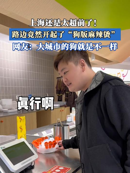 上海还是太超前了!路边竟然开起了“狗版麻辣烫”