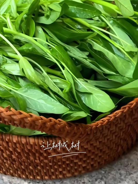 菜农推荐良种,空心菜籽抗重茬,连种三年不减产
