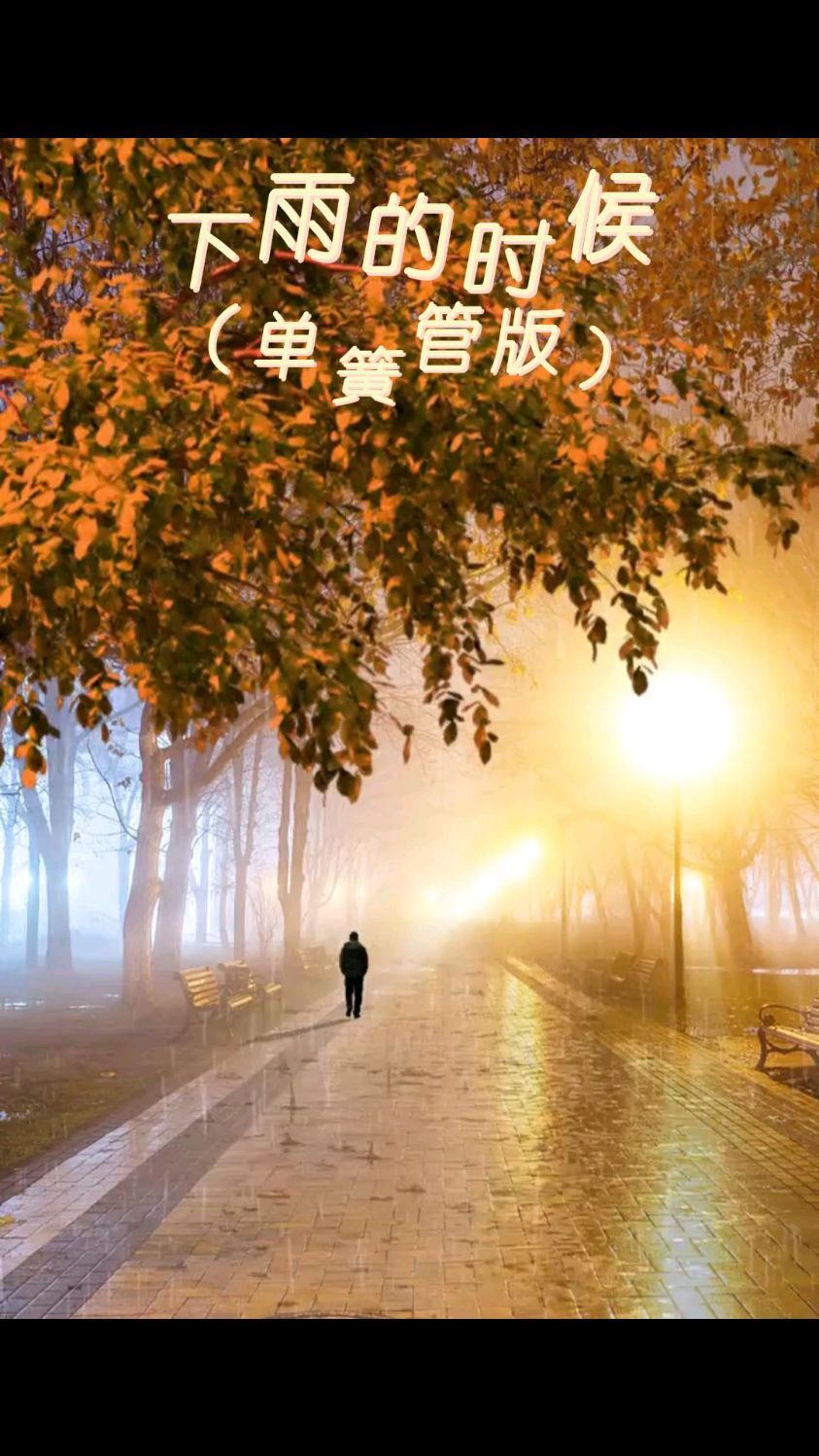 下雨的时候 (单簧管版)