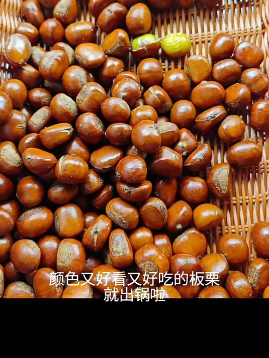 商用多功能全自动立式炒货机燃气小型炒瓜子糖炒板栗栗子专用机器