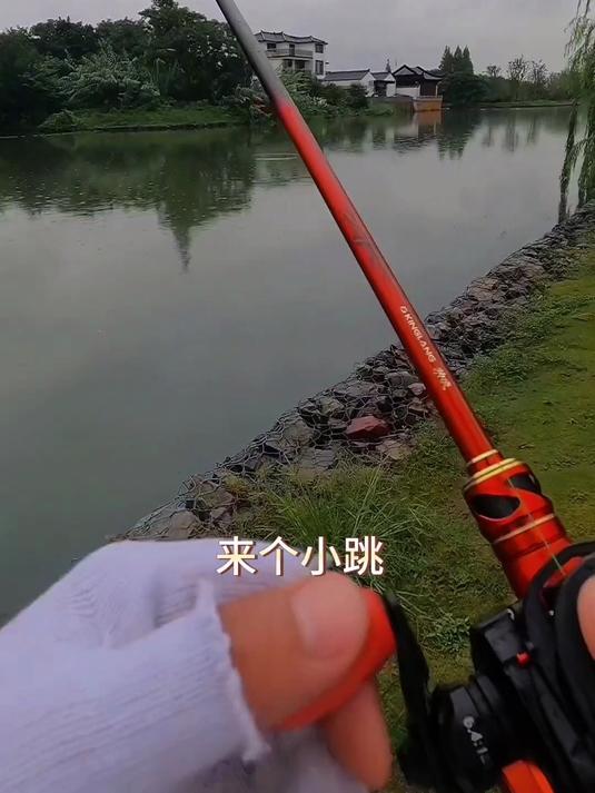 这次的鱼也非常大,爱生活爱钓鱼