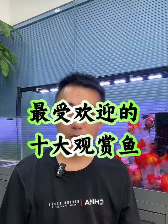 最受欢迎的十大观赏鱼