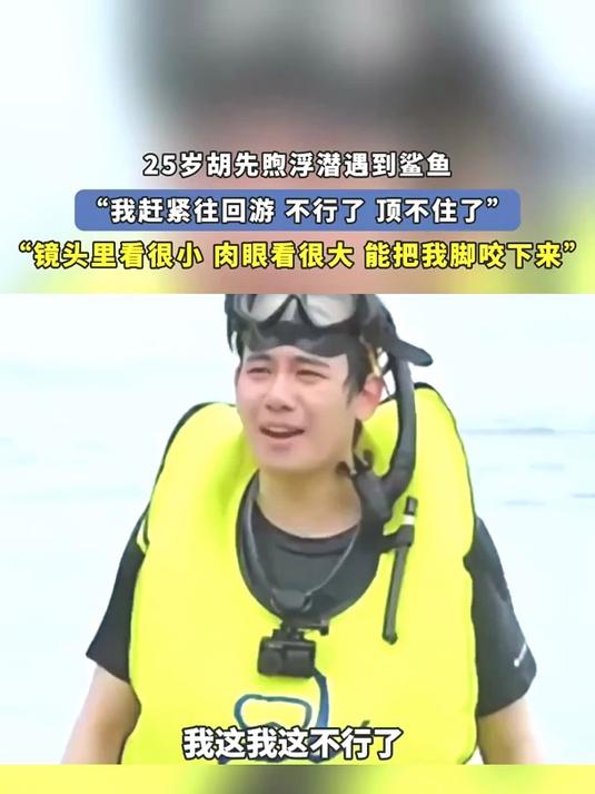 25岁胡先煦浮潜遇到鲨鱼,“我赶紧往回游 不行了 顶不住了”