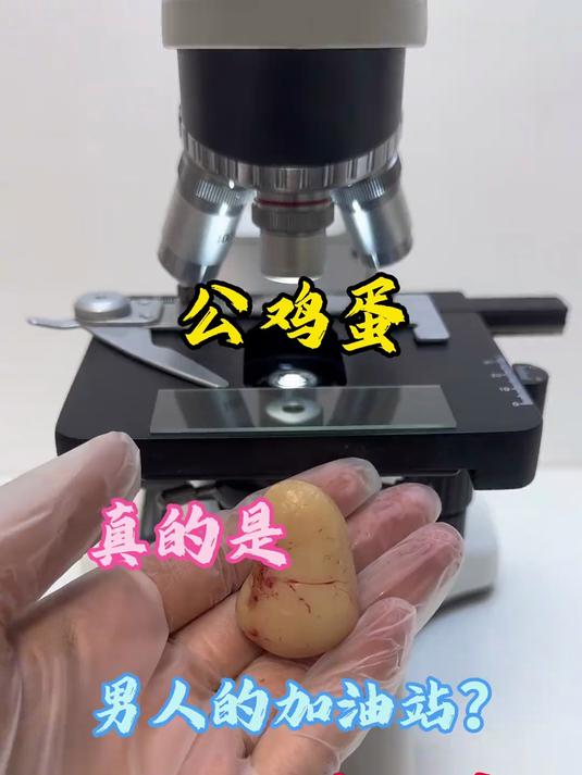 公鸡蛋?真的是男人的加油站?
