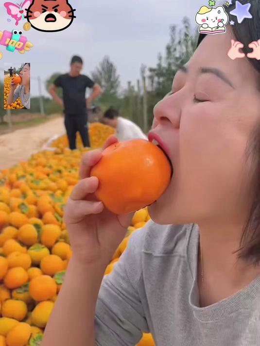 正宗巧克力柿子，果肉细腻，天然香甜超好吃！#春节#