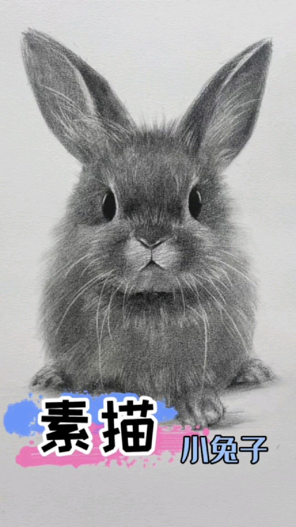 素描动物 超简单的小兔子画法