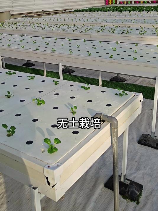 连栋温室蔬菜种植无土栽培设施