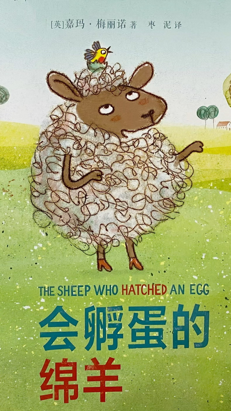 绘本故事——会孵蛋的绵羊