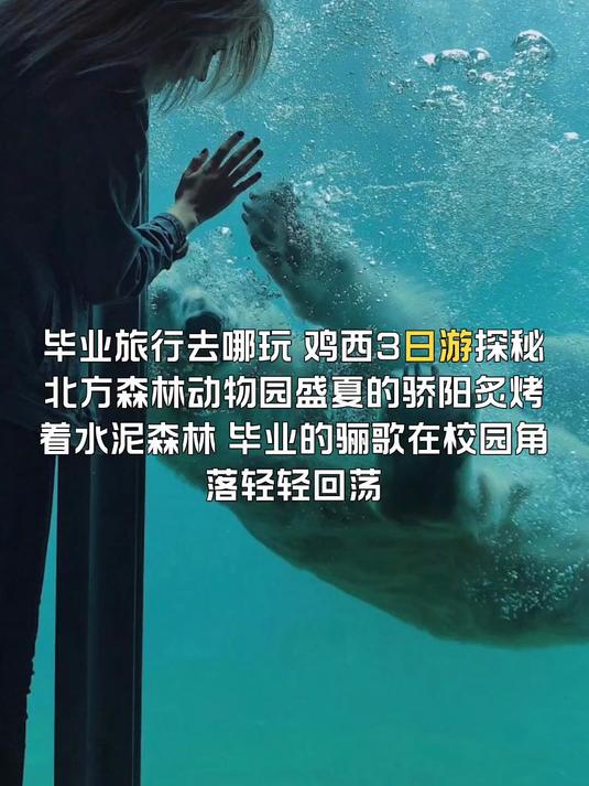 毕业旅行去哪玩，鸡西旅游探秘北方森林动物园