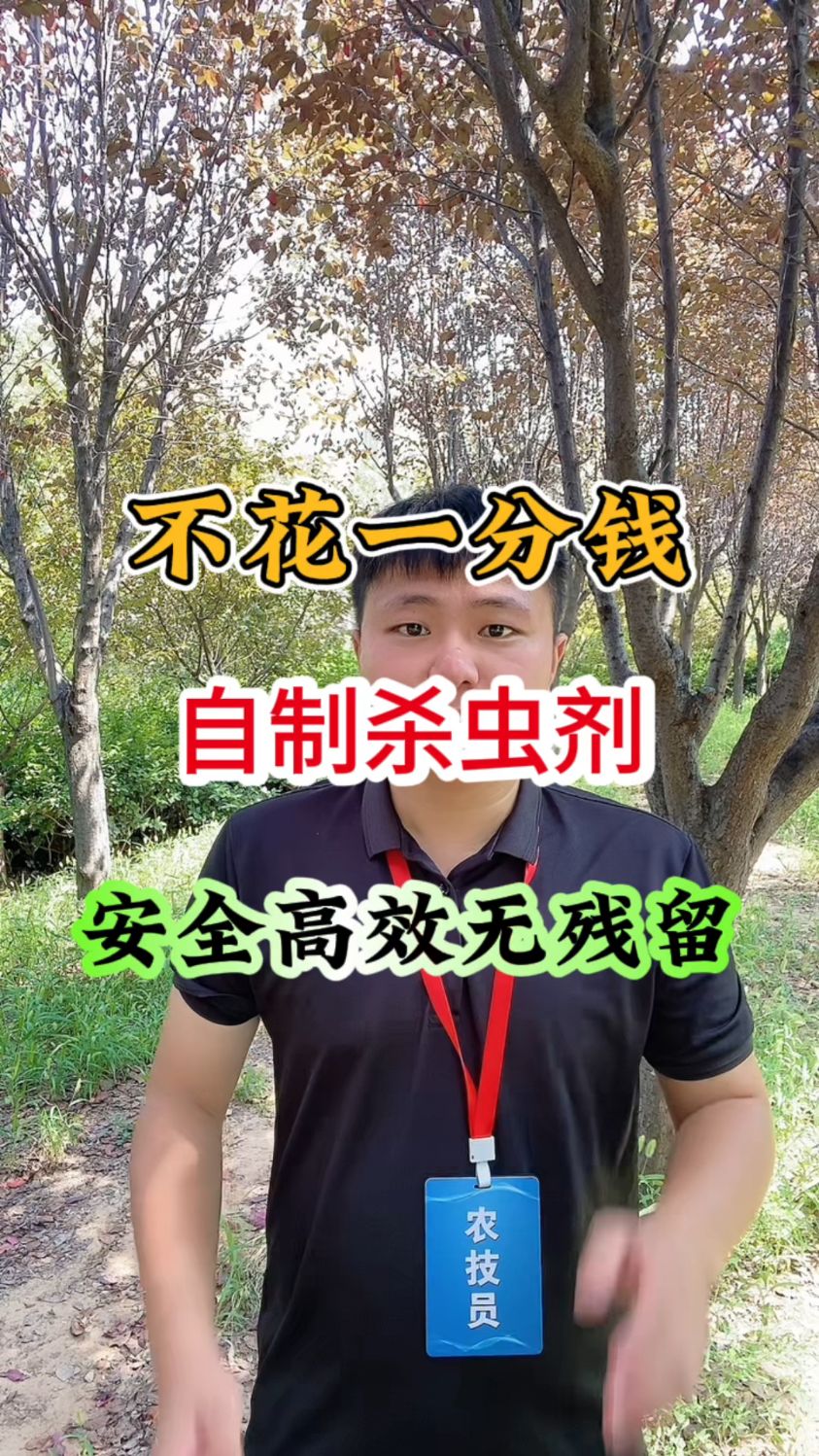 不花一分钱,自制杀虫剂,安全高效无残留