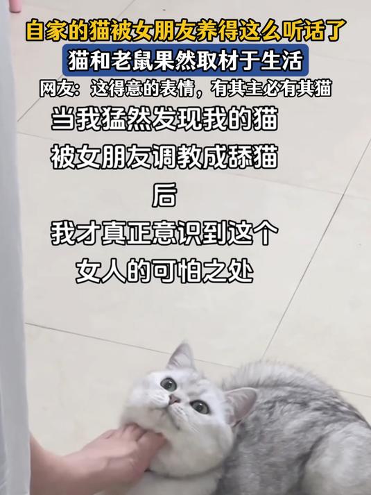 猫被女朋友养得这么听话,猫和老鼠果然取材生活,有其主必有其猫