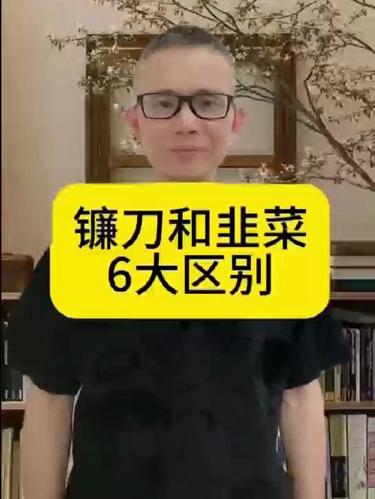 镰刀和韭菜的6大区别!