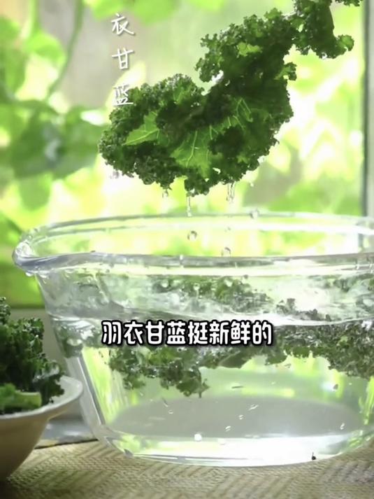 当天发货羽衣甘蓝,口感清甜无渣,好吃到停不下来
