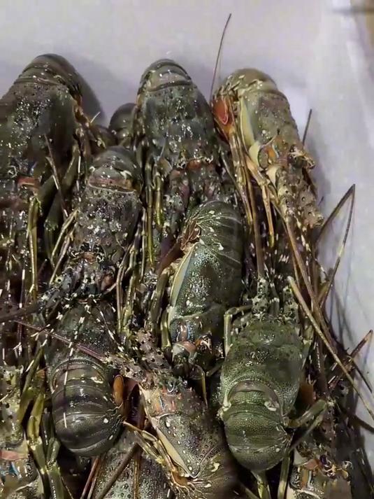 小青龙虾蒸紫薯！甜鲜结合，超健康