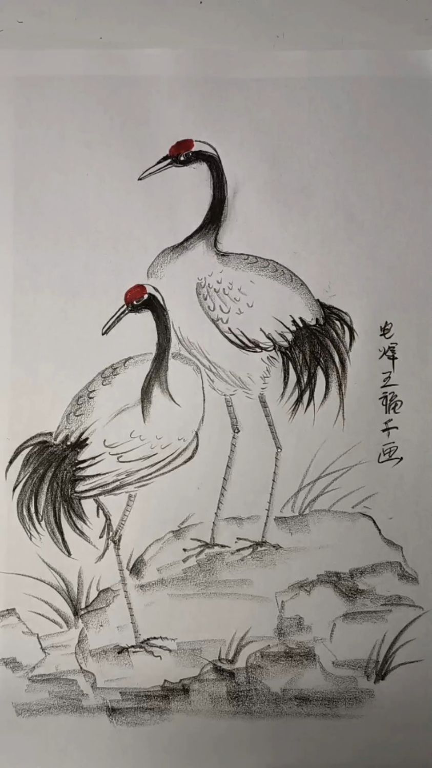 炭笔画,简单画仙鹤,简单好看的仙鹤画法,你学会了吗?