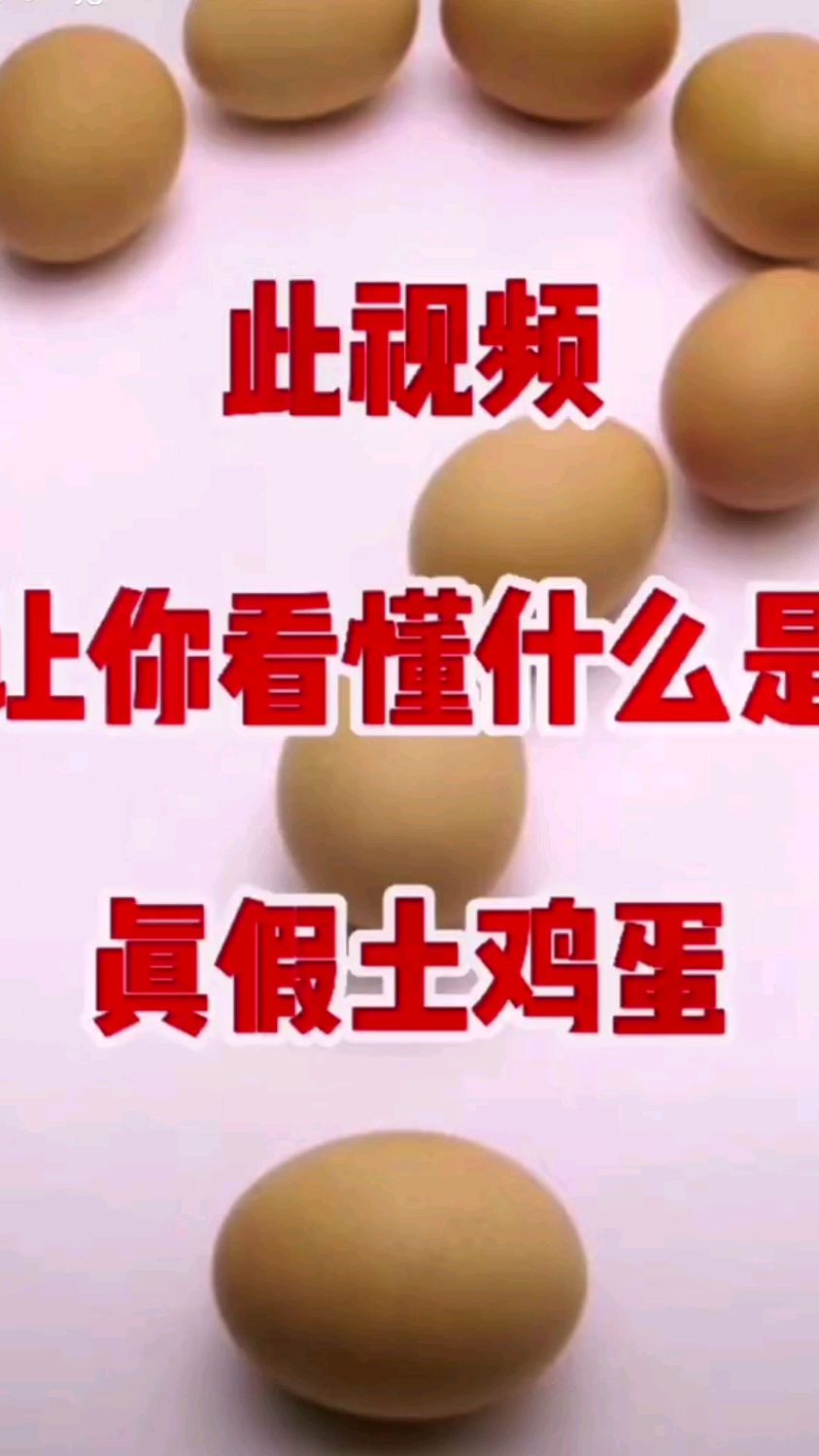 什么才是真正的土鸡蛋