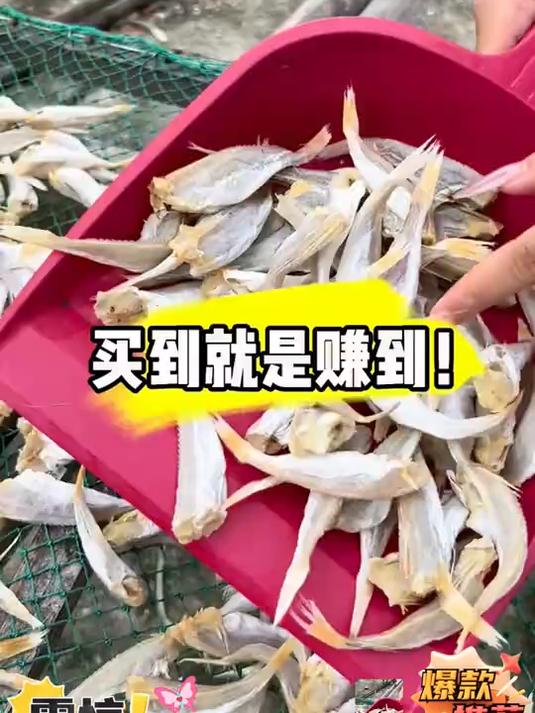 渔民自晒的红娘子鱼干来活动啦_肉质细嫩煎着吃顿着吃都特别好吃