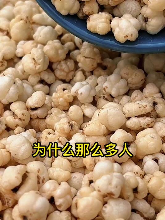 「祛湿养生」炒薏苡仁,中老年健康好搭档!