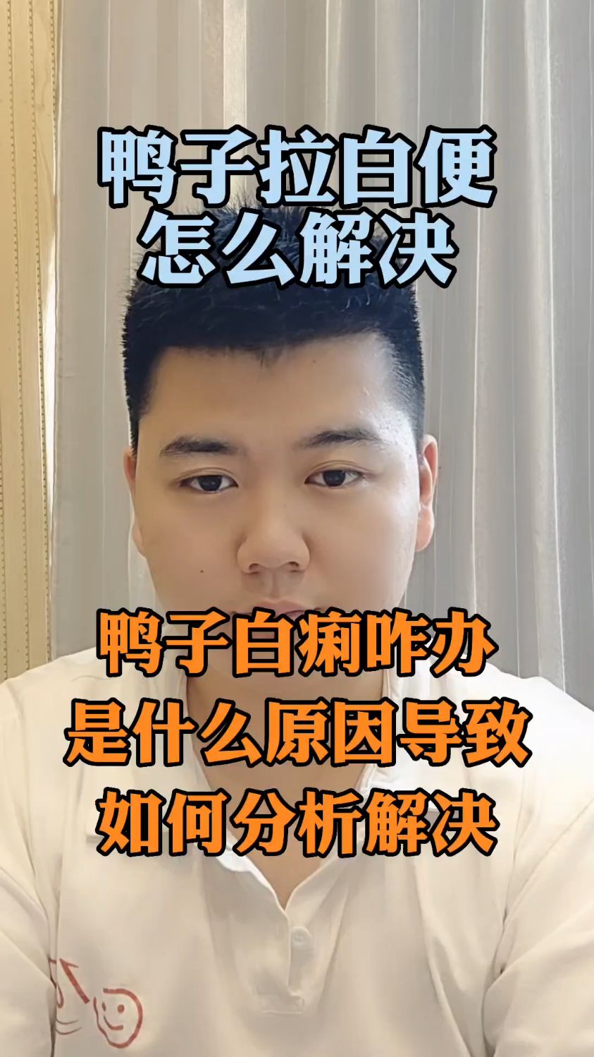 #鸭子拉白痢是什么原因怎么治鸭拉白色稀粪什么原因小鸭拉白色稀粪吃什么鸭拉白色稀粪