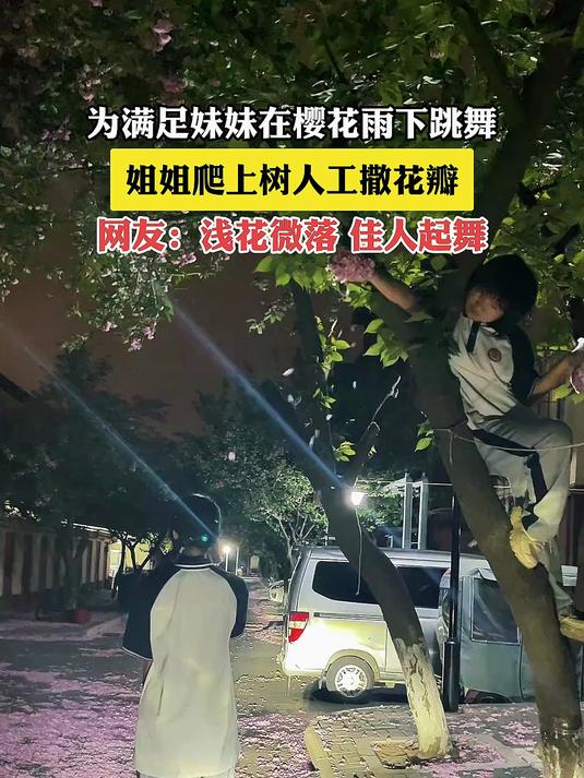 为满足妹妹在樱花雨下跳舞,姐姐爬上树人工撒花瓣