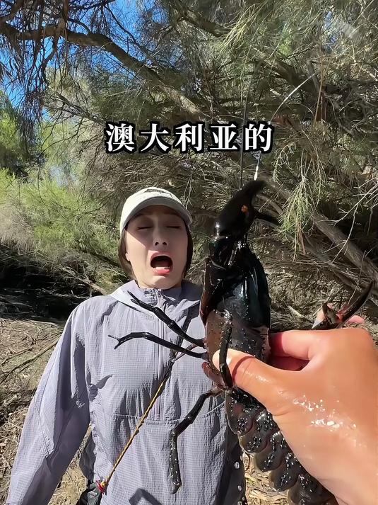 世界最大小龙虾品种现身！携女友探秘80厘米“虾中巨兽”真面目？