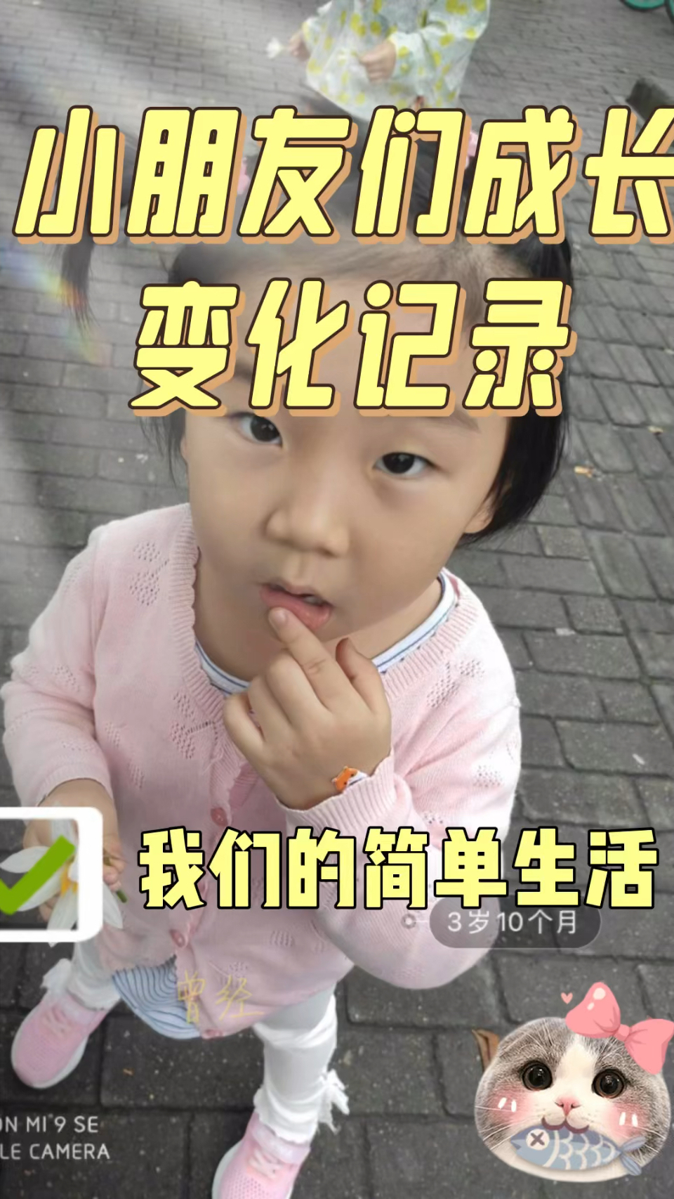 小企鹅小海豚小小只的样子,得翻了照片才想得起来了