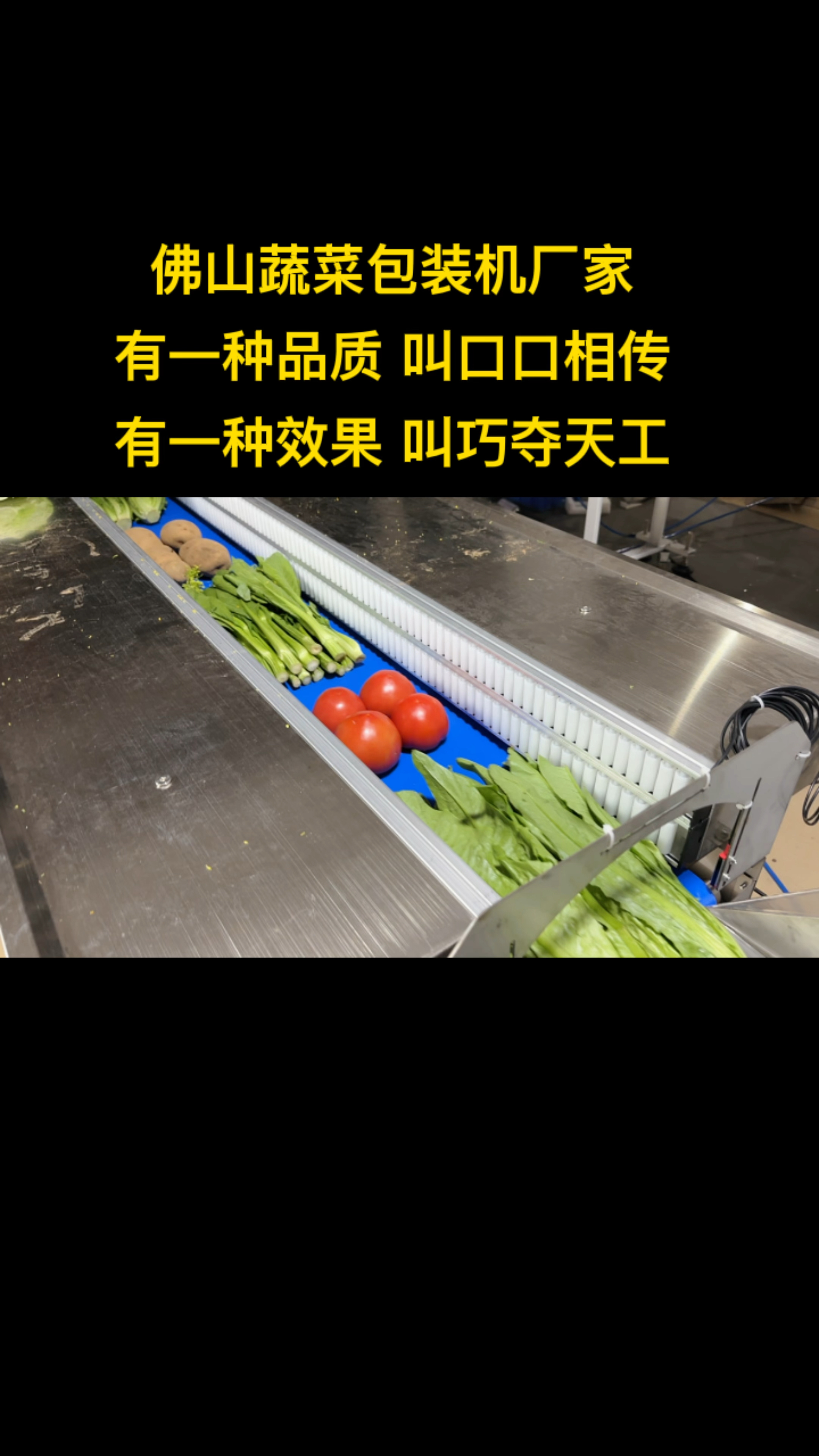 富晖全品类蔬菜包装机