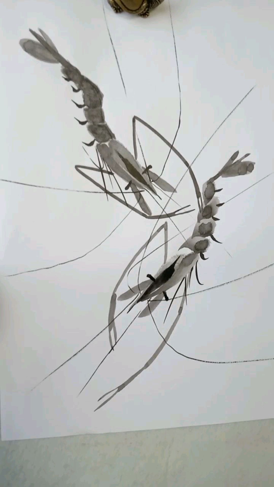 虾的基本画法《十六》