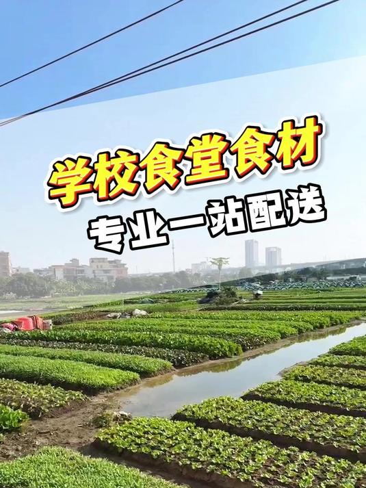 佛山学校食堂食材,专业一站配送