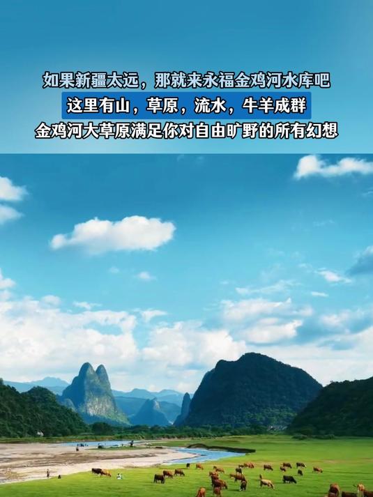 来永福金鸡河水库,这里有山有水,牛羊成群,满足你对旷野的幻想