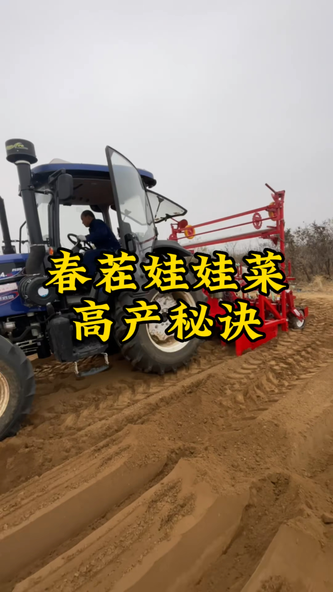 大顺牵引式气吸娃娃菜播种机,旋耕,起垄,气吸播种,后期可以覆膜一次性完成。