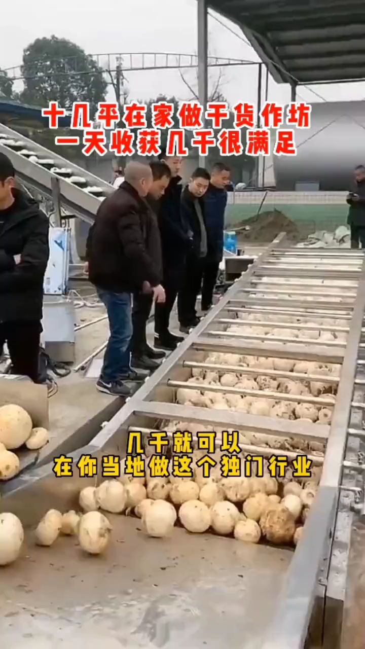 蔬菜烘干机,蔬菜烘干房,农产品烘干机