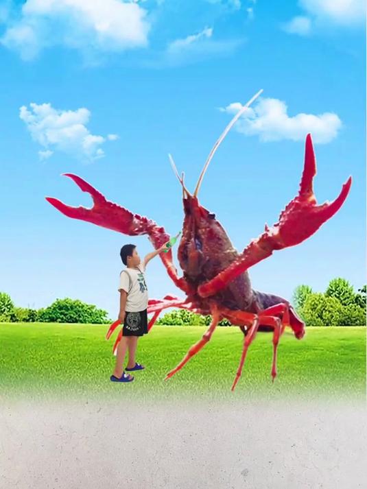 小龙虾创意拍照